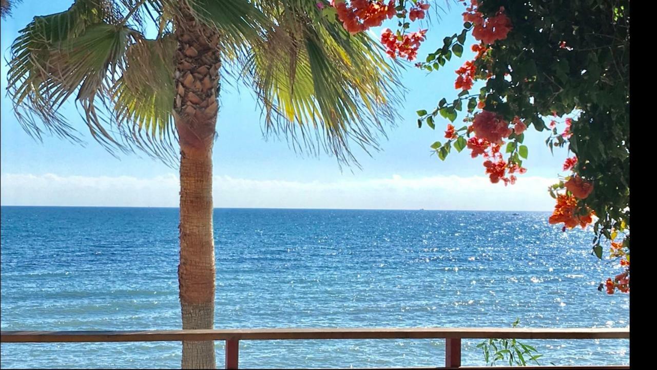 Mijas Costa - Beachside Apartment- A 卡拉德米哈斯 外观 照片